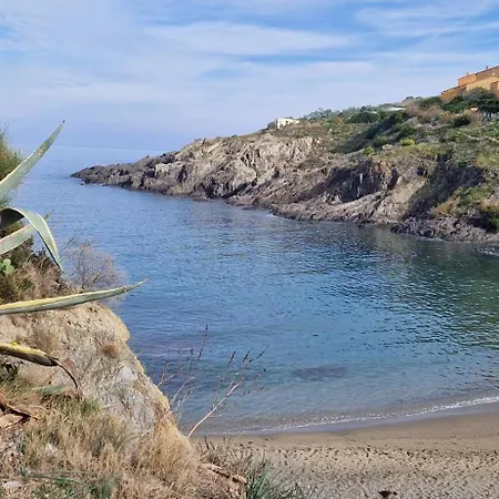 Pieds Dans L'eau - Vue Exceptionnelle - Parking Collioure